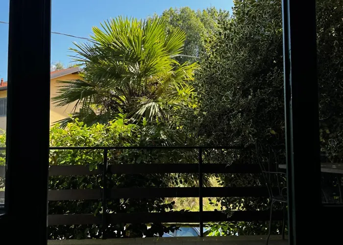 Orta View